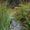 © Rod Smith  <em>Ribblehead Quarry 5</em>