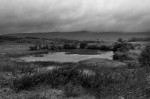 © Rod Smith  <em>Ribblehead Quarry 6</em>