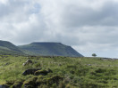 © Sue Best  <em>Ingleborough</em>