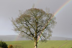 © Jonathan Heath  <em>Dark Skies & Rainbows</em>