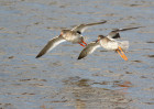 © David Crutchley  <em>In formation</em>