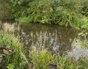 © Gill Pinkerton  <em>Peace on the Leeds/Liverpool Canal</em>