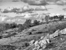 © Harry Pinkerton  <em>Whitbarrow</em>