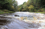 © Jonathan Heath  <em>The Strid</em>