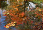 © Margaret Smith  <em>Impressions of Autumn</em>