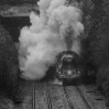 © Rod Smith  <em>Full Steam Ahead</em>