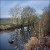 © Margaret Smith  <em>The River in Winter</em>