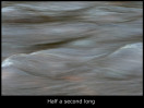 © Margaret Smith  <em>Half a second long</em>