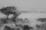 © Yvonne Fairclough  <em>Snow on Land : Rain on Glass</em>