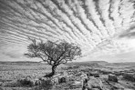 © Malcolm Walker  <em>The tail end of a mackerel sky</em>