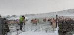 © Jeanette Davidson  <em>snow storm</em>