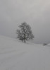 © Jeanette Davidson  <em>white out</em>