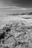 © Tim Fearon  <em>Cracked</em>