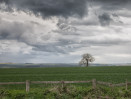 © Brian Blinkhorn  <em>Storm clouds over The Wolds</em>