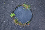 © Elaine Ward  <em>Circle in a rectangle</em>