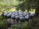 © Gill Pinkerton  <em>Cotton Tree, Grewelthorpe</em>