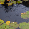 © Ian Hughes  <em>Circles</em>