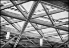 © Sue Haddrill  <em>Criss Cross</em>