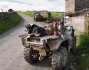 © John Bentley  <em>Off-duty sheepdogs</em>
