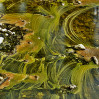 © Chris Chandler  <em>River Ribble Lines</em>