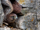© Ian Hughes  <em>Ready to Leave</em>