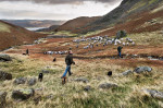 © John Bentley  <em>Coniston Fell Gather</em>