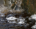 © Margaret Smith  <em>Bubbles on the Beck</em>
