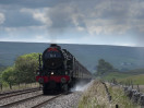 © Sue Best  <em>Scots Guardsman at Selside</em>