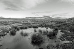 © Tim Fearon  <em>Distant Pen-y-Ghent</em>