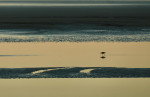 © Yvonne Fairclough  <em>Quietly, at Dawn</em>