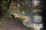 © Peter Robinson  <em>Autumn Canal Walk</em>