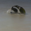 © Andy Best  <em>St Marys Shell Cleveleys</em>