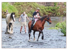 © David Crutchley  <em>Washing Horses</em>