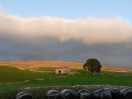 © Jeanette Davidson  <em>evening light with silage!</em>