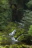 © Andy Best  <em>Clapham Water Fall</em>