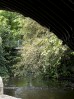 © Gill Pinkerton  <em>View from the Underpass</em>