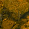 © Sue Best  <em>Trout</em>