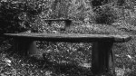 © Sue Best  <em>Bench</em>