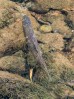 © Sue Haddrill  <em>Gone Fishing!</em>