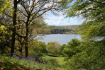 © Elaine Ward  <em>Windermere in May</em>