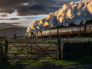 © John Cooper-Smith  <em>Jubilees over the Border</em>