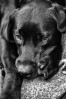 © Paul Higgins  <em>Don't Wake Me</em>
