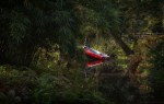 © Brian Blinkhorn  <em>Lost</em>