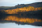 © Elaine Ward  <em>Sunset</em>