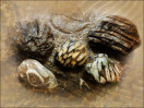 © Margaret Smith  <em>Patterns from the Past</em>