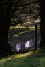 © Rod Smith  <em>Rod 4</em>