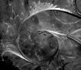 © Yvonne Fairclough  <em>Then came a puff of wind.</em>