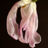 © Yvonne Fairclough  <em>As delicate as silk</em>