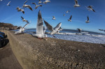 © Brian Blinkhorn  <em>Simply Organic</em>