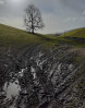 © Jeanette Davidson  <em>mud</em>